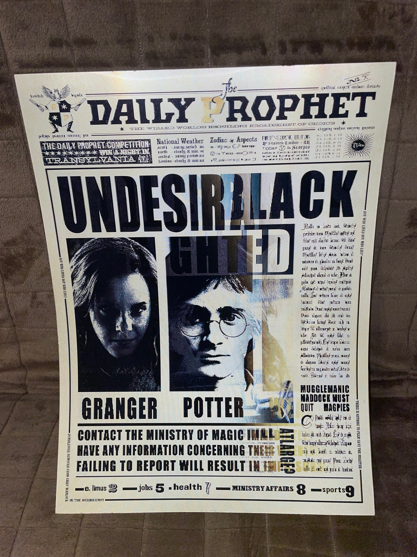 3D Harry Potter, Ron Weasley, Hermione Granger poster